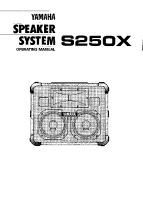 Yamaha S-250-X - Owners Manual 